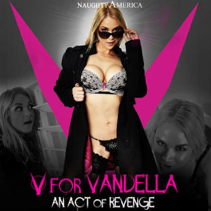 Closeup of Poster for V is for Vandella.