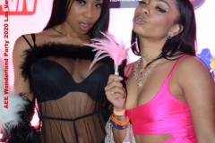 3233