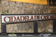 DSC_9593-460x295
