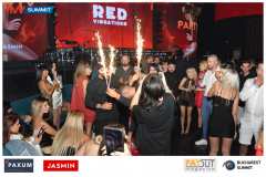 PART 3 - JASMIN RED VIBRATION PARTY - DAY - 2