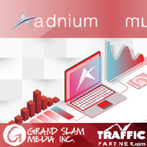 A graphical representation of Adnium's traffic metricisation with company logos...