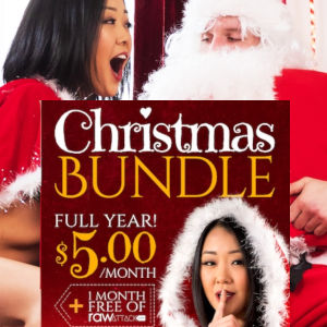 An ad for the Spizoo Christmas Bundle blocks the bigger image of a hot babe doing something naughty to a Santa-guy in the background.