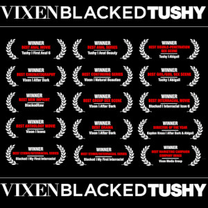 A list of the awards the Vixen Group of studios received, with the three main ones listed above and below...