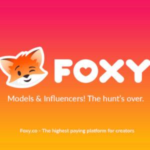 Graphic logo with a cute winking fox cartoon beside the Foxy name.
